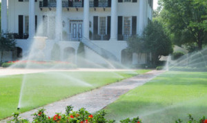 Exterior Maintenance