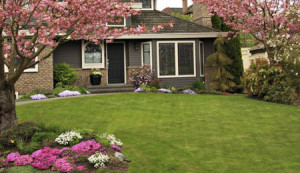 A proper sprinkler system installation keeps your NJ lawn and garden healthy.