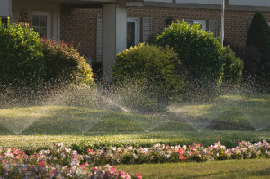 Tanz Inc's sprinkler system installation service keeps NJ homes beautiful this summer.