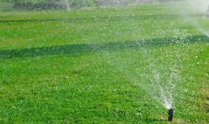 Sprinkler System