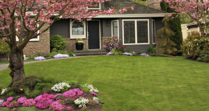 Commercial Landscaping