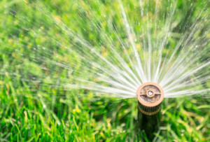 A sprinkler system installation keeps your NJ lawn healthy this summer.