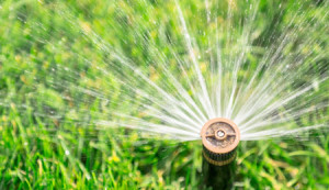 Sprinklers and Irrigation