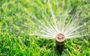 Sprinklers and Irrigation