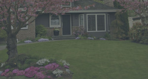 Commercial Landscaping
