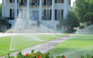 Exterior Maintenance