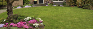 Commercial Landscaping
