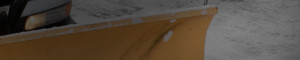 ice management