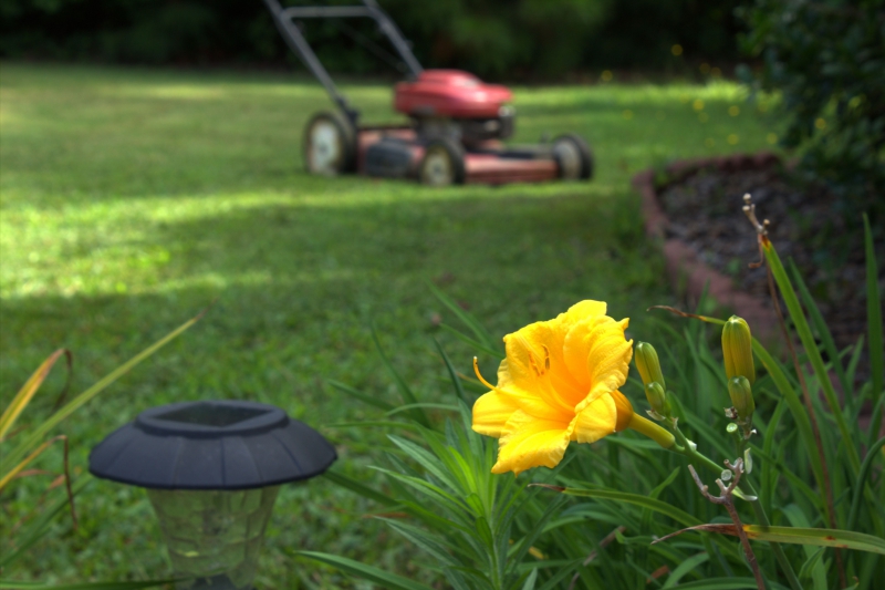 Irrigation systems installed by Tanz Inc. can keep your lawn healthy.