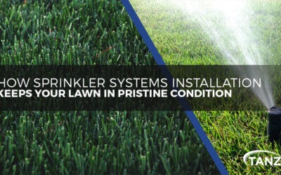 How Sprinkler System Installation Keeps Your Lawn in Pristine Condition
