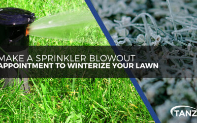 Make a Sprinkler Blowout Appointment to Winterize Your Lawn