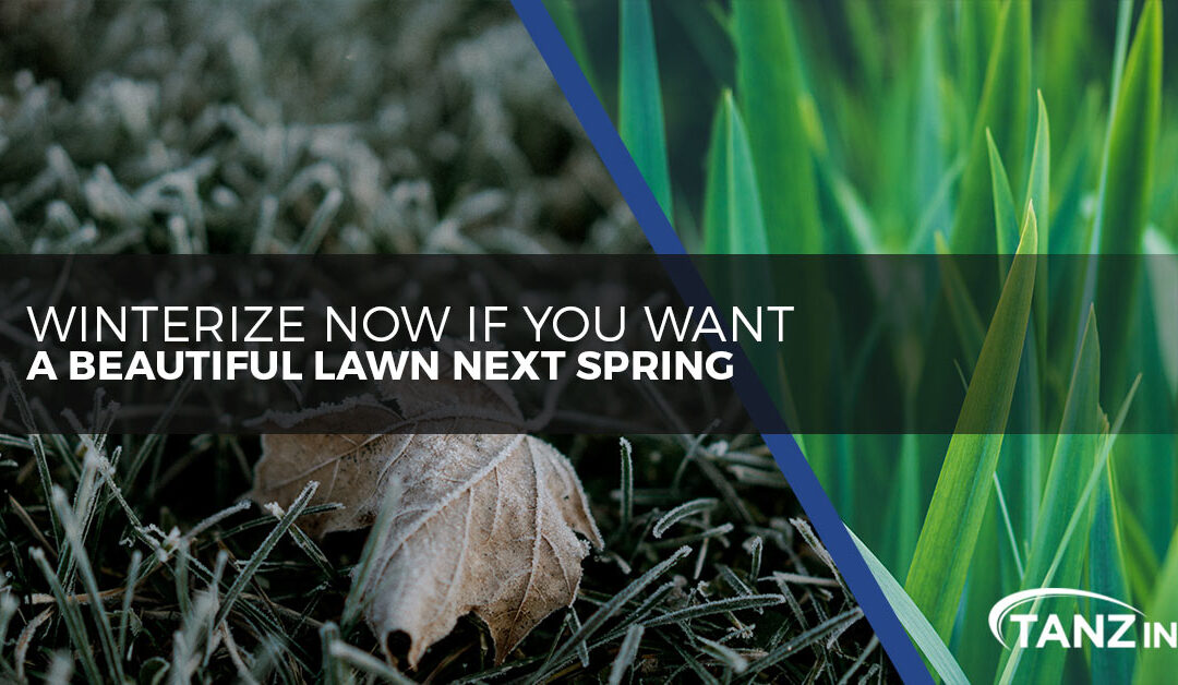 Winterize Now If You Want a Beautiful Lawn Next Spring