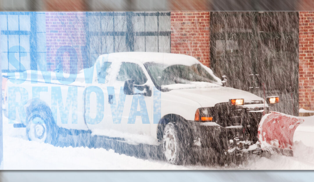If You Hired a Snow Removal Service in Matthews, You Have Time to Enjoy These Movies
