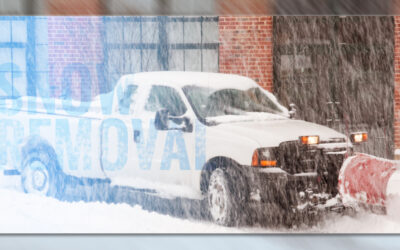 If You Hired a Snow Removal Service in Matthews, You Have Time to Enjoy These Movies