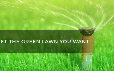 Sprinkler System Installation in New Jersey is Recommended if You Wish to have a Green Lawn