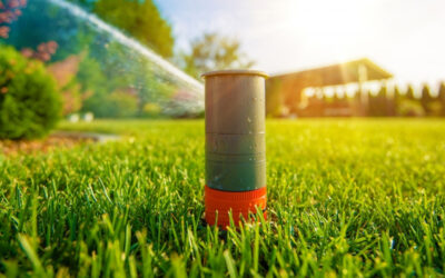 Your Matthews Sprinkler Repair Service Offers Spring Cleaning Tips