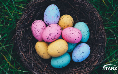 Your New Jersey Property Maintenance Company Offers You Tips on How to Score the Perfect Easter Egg Hunt