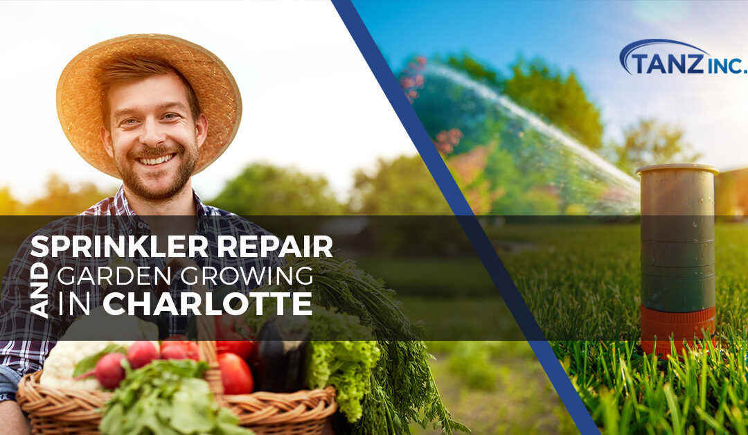 Sprinkler Repair and Garden Growing in Charlotte