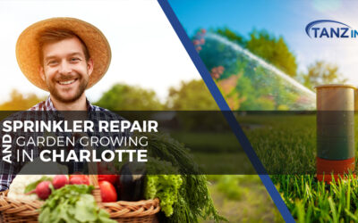 Sprinkler Repair and Garden Growing in Charlotte