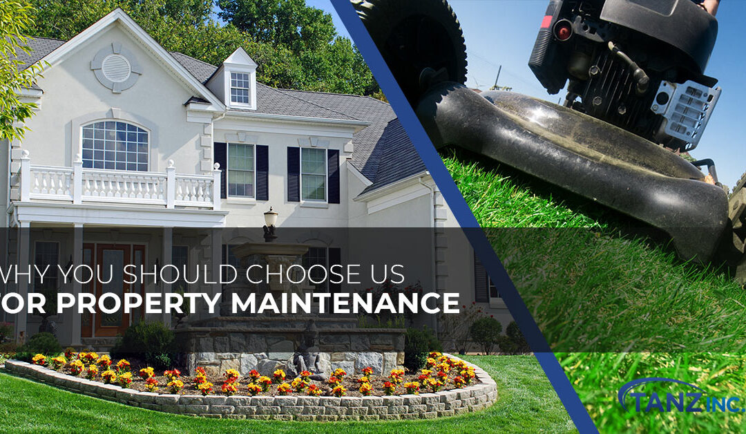 Why You Should Choose Us for Property Maintenance