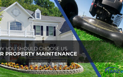 Why You Should Choose Us for Property Maintenance