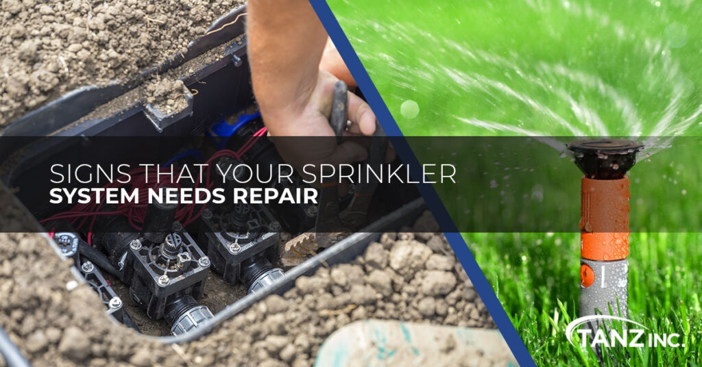 Irrigation Systems New Jersey Signs That Your Sprinkler System Needs Repair TANZ Inc.