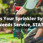 5 Signs Your Sprinkler Systems Needs Service