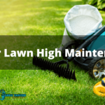 Is your lawn high maintenance?