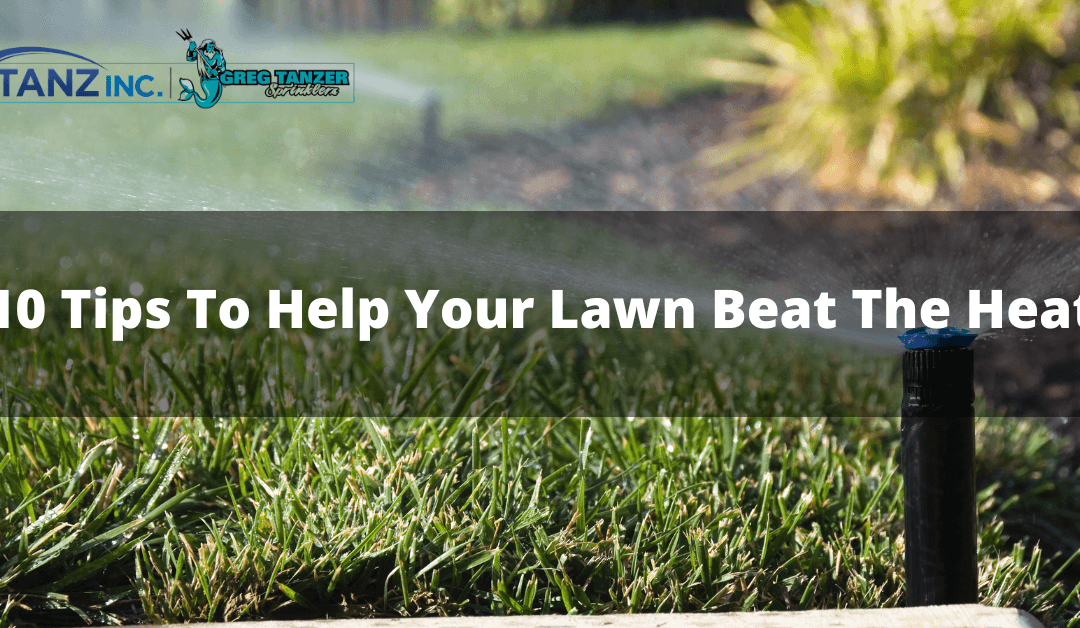10 Tips To Help Your Lawn Beat The Heat