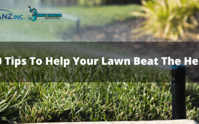 10 Tips To Help Your Lawn Beat The Heat