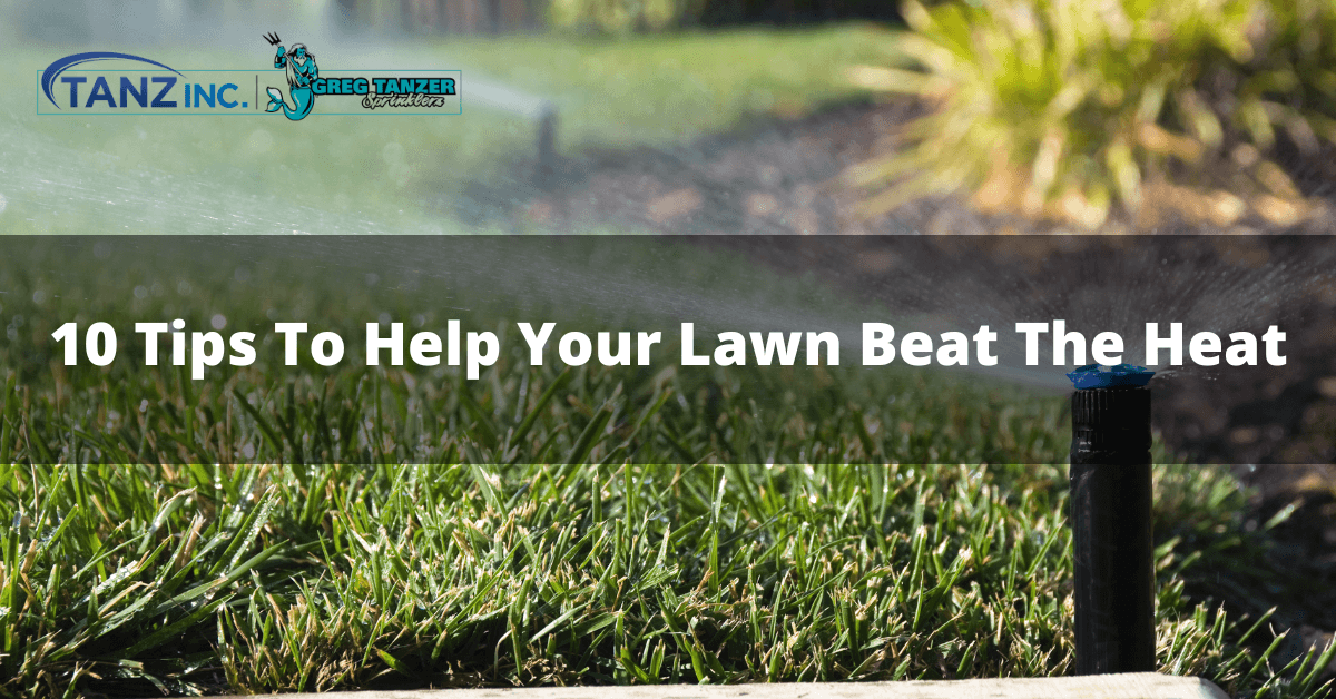 10 Tips To Help Your Lawn Beat The Heat