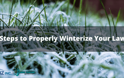 8 Steps to Properly Winterize Your Lawn