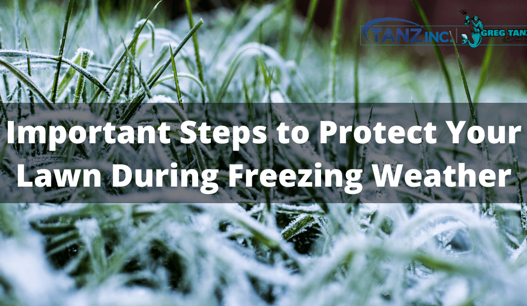 Important Steps to Protect Your Lawn During Freezing Weather