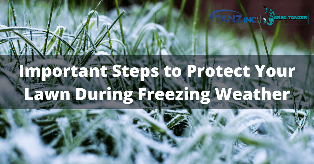 Important Steps to Protect Your Lawn During Freezing Weather