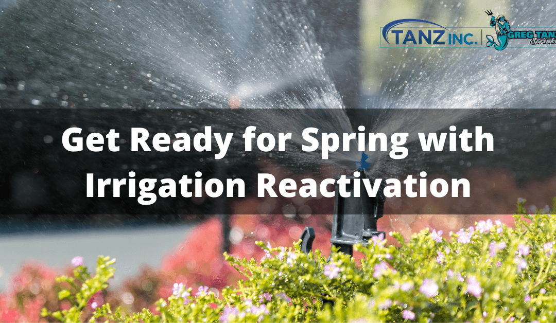 Get Ready for Spring with Irrigation Reactivation
