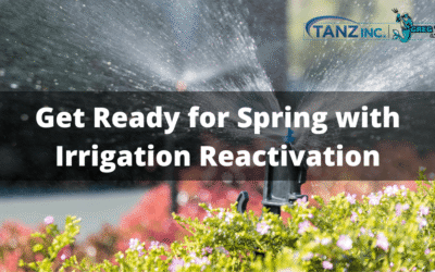 Get Ready for Spring with Irrigation Reactivation
