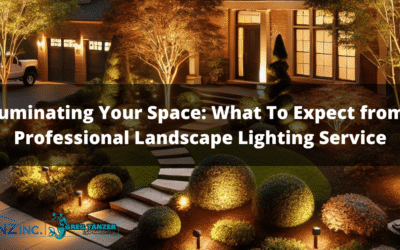 Illuminating Your Space: What To Expect from a Professional Landscape Lighting Service