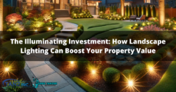 The Illuminating Investment: How Landscape Lighting Can Boost Your Property Value