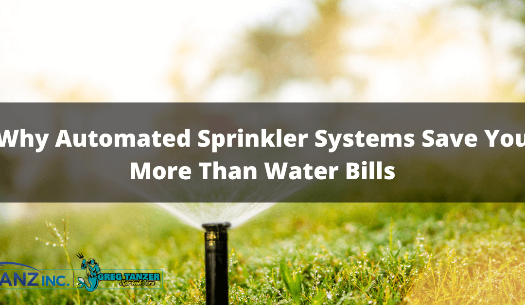 Why Automated Sprinkler Systems Save You More Than Water Bills
