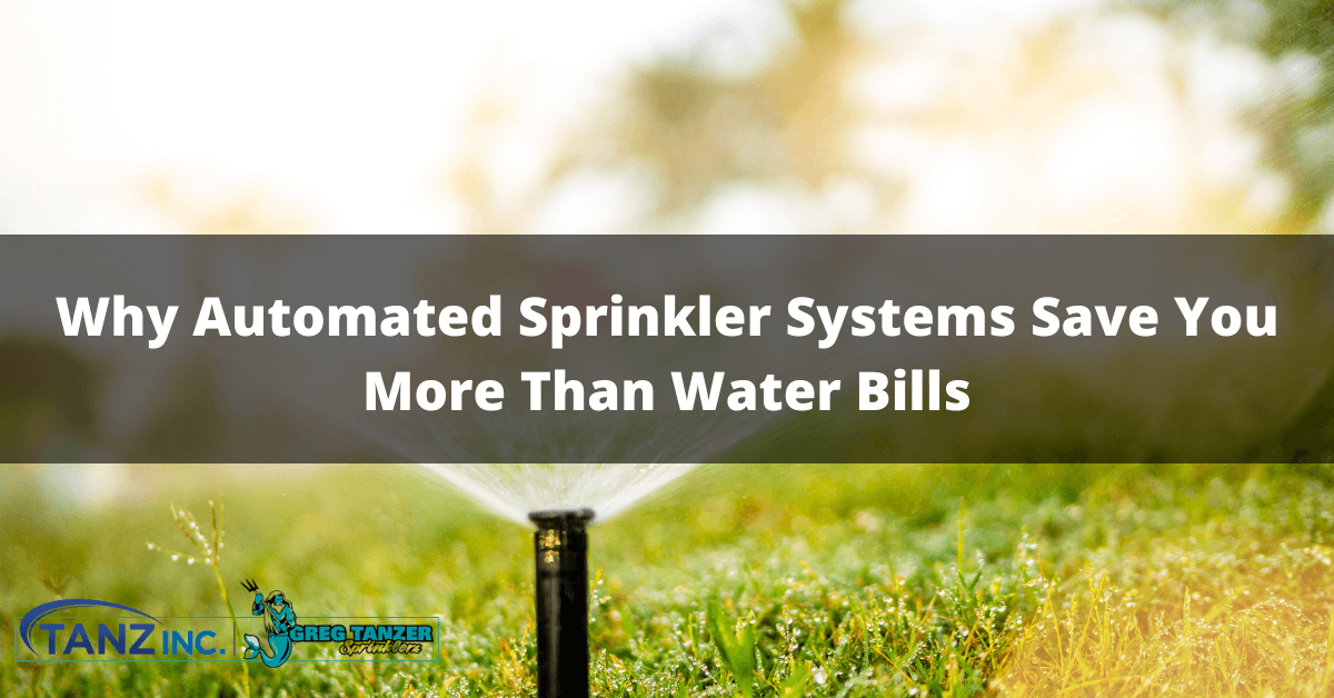 Why Automated Sprinkler Systems Save You More Than Water Bills