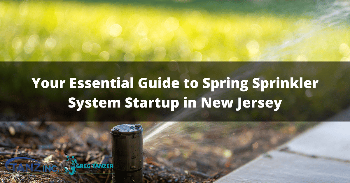 Your Essential Guide to Spring Sprinkler System Startup in New Jersey